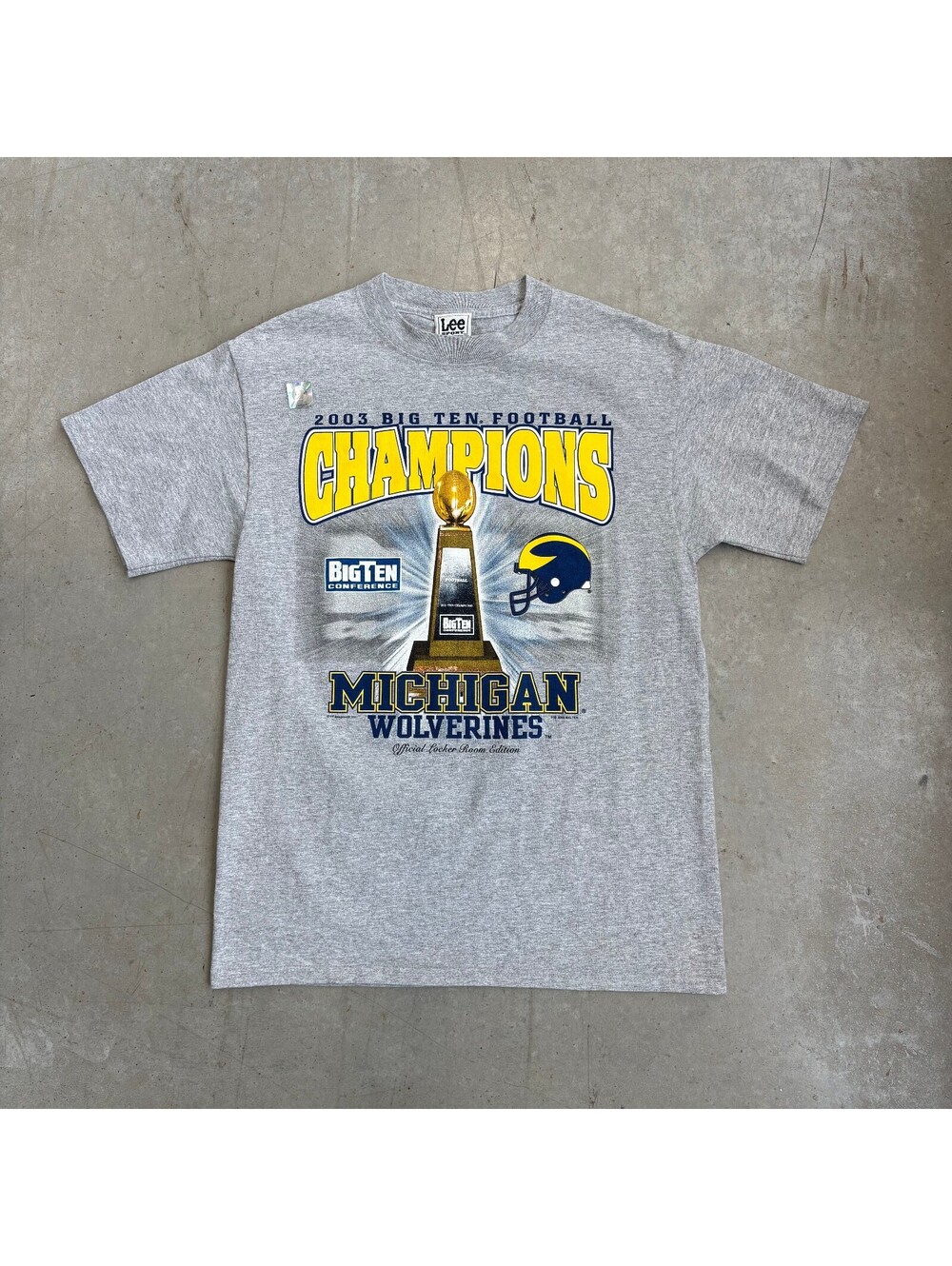 Vintage 2000s Michigan Wolverines Big Ten Champions T-Shirt Medium Gray